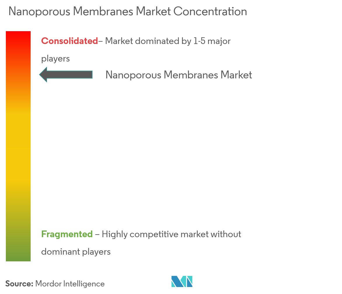 Membranes nanoporeusesConcentration du marché